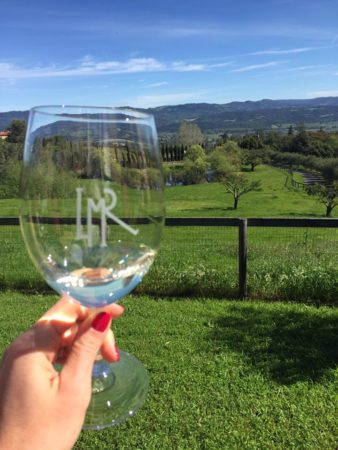 Napa Valley Travel Guide | Holistic Hot | Long Meadow Ranch wine glass against backdrop 