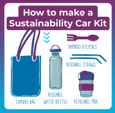 Ways to Live More Sustainably | Holistic Hot | Sustainability Car Kit